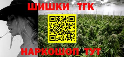 крисы Можга